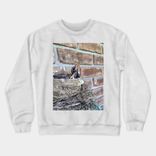 Peaking Out the Nest Crewneck Sweatshirt